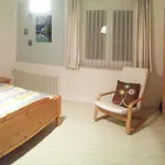 Apartment Buerger-hinteregger Seeboden