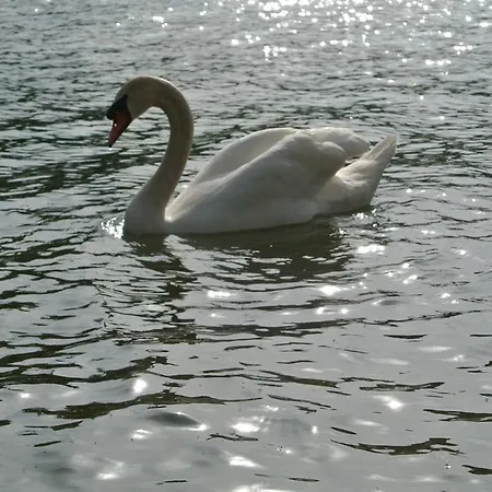 Appartement Buerger-hinteregger Seeboden
