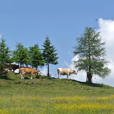 Buerger-hinteregger Appartement *