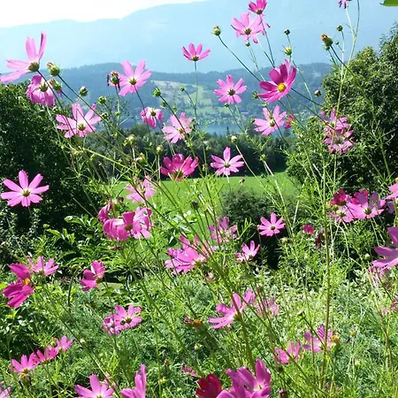 Appartement Buerger-hinteregger